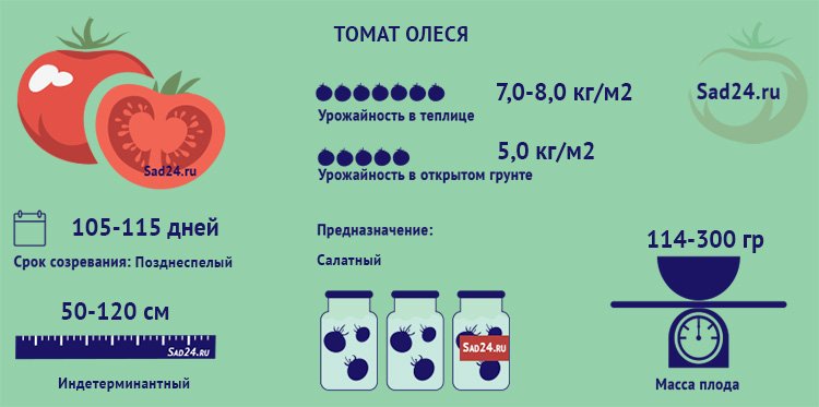 tomat sorta olesya: osobennosti kultury, opisanie agrotekhniki, otzyvy3 Томат сорту Олеся: особливості культури, опис агротехніки, відгуки