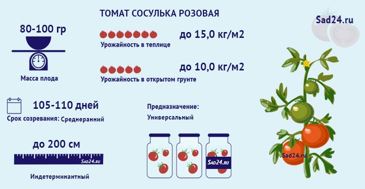 tomat sosulka rozovaya: opisanie, agrotekhnika, otzyvy74 Томат Бурулька рожева: опис, агротехніка, відгуки