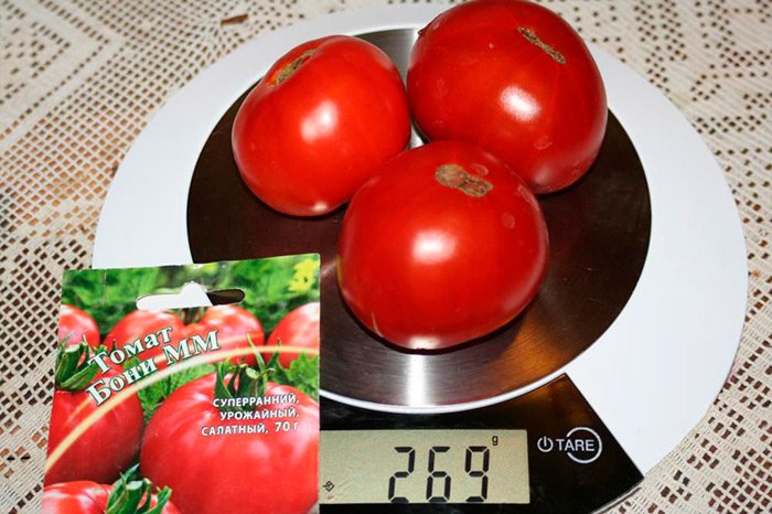 tomaty sorta boni mm: osobennosti, opisanie, otzyvy52 Томати сорту Боні ММ: особливості, опис, відгуки