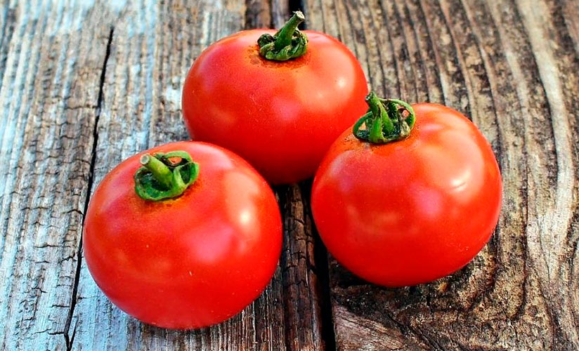 ultrarannijj tomat salatnogo naznacheniya   kapitan f1  znakomimsya s opisaniem42 Ультраранній томат салатного призначення — Капітан F1. Знайомимося з описом