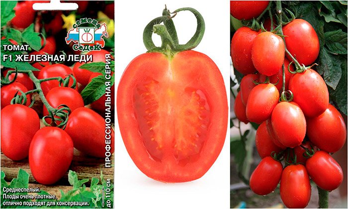 zheleznaya ledi: podrobnoe opisanie i osobennosti vyrashhivaniya tomata111 Залізна леді: докладний опис і особливості вирощування томата