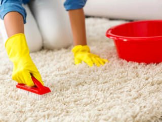 a5c6e52509a25eea55543a571c6812dd Як почистити килим від котячої шерсті
