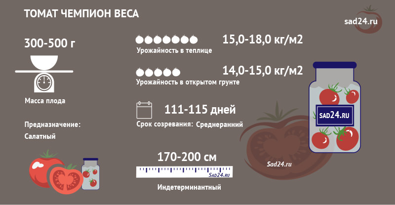 opisanie krupnoplodnogo tomata chempion vesa17 Опис крупноплідного томату Чемпіон ваги