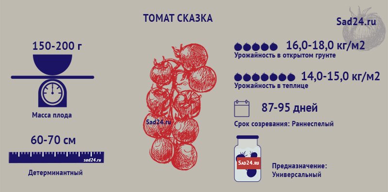 Томаты Соседская Зависть Фото