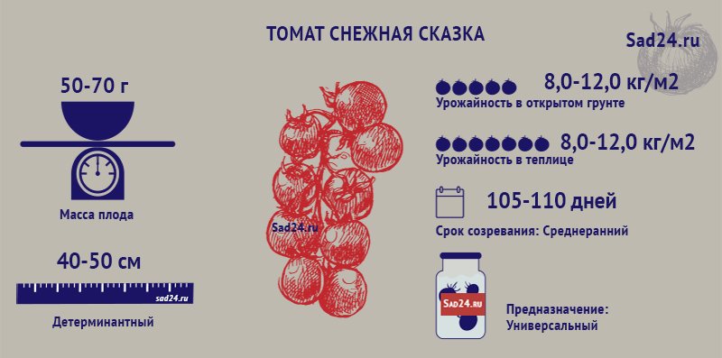 tomat snezhnaya skazka: opisanie sorta, foto, otzyvy33 Томат Снігова казка: опис сорту, фото, відгуки