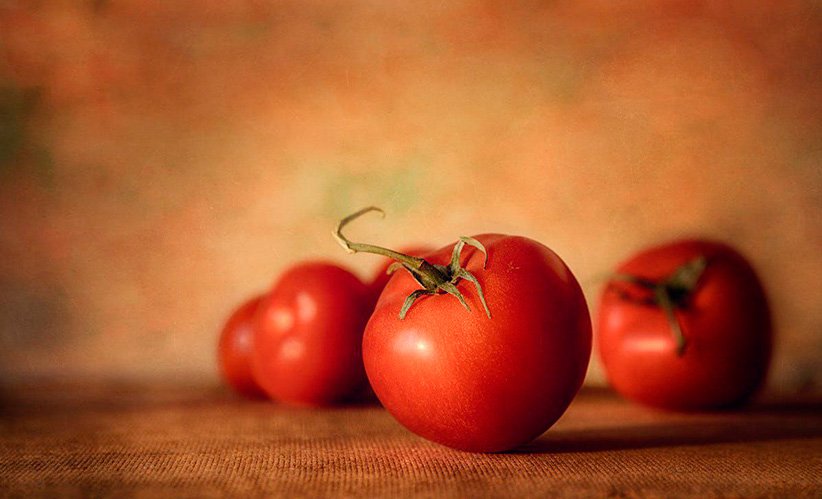tomat superurozhajjnyjj senor pomidor: opisanie, agrotekhnika, otzyvy4 Томат суперурожайний Сеньйор помідор: опис, агротехніка, відгуки