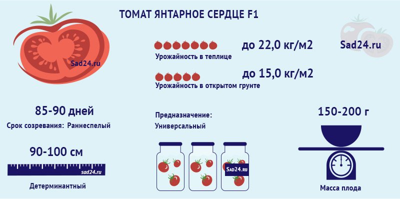 Томат Бизнес Леди Отзывы Фото Урожайность