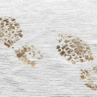 2aa00aca77feaf5a55c4272fc8486449 Чим почистити білий килим в домашніх умовах швидко і ефективно