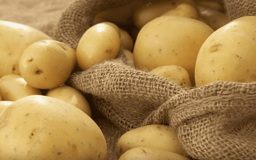 5 oshibok pri khranenii kartofelya  kak ikh ispravit 14 5 помилок при зберіганні картоплі. Як їх виправити?