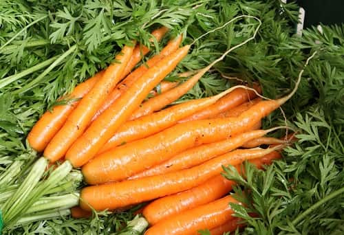 7 sekretov vyrashhivaniya morkovi v otkrytom grunte101 7 секретів вирощування моркви у відкритому грунті