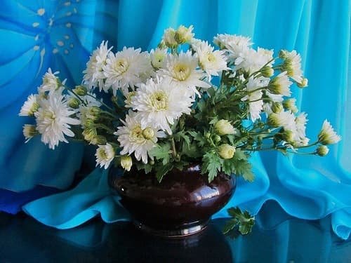 9 sovetov, kak dolshe sokhranit buket cvetov v vaze s vodojj209 9 порад, як довше зберегти букет квітів у вазі з водою