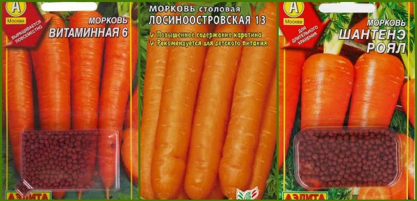 posadka morkovi pod zimu  preimushhestva, sorta morkovi, sroki posadki23 Посадка моркви під зиму. Переваги, сорти моркви, строки посадки