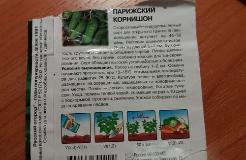 vybiraem semena ogurcov dlya posadki  na chto obratit vnimanie 82 Вибираємо насіння огірків для посадки. На що звернути увагу?