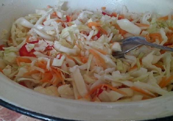 salat iz svezhejj kapusty s bolgarskim percem   prostojj i ochen vkusnyjj recept41 Салат з свіжої капусти з болгарським перцем — простий і дуже смачний рецепт
