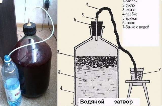 c9e7710fcc69e2f62886bcf606776764 Як приготувати вино з винограду в домашніх умовах