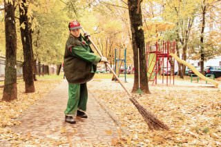  Як проходить прибирання опалого листя на прибудинкових територіях