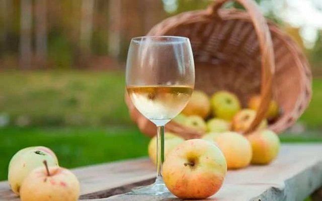 468c5dbeb36c6c76cb42aad3d5d3627f Як зробити яблучне вино — покрокові рецепти приготування смачного вина в домашніх умовах