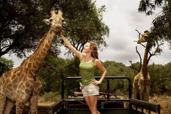  До чого сниться жираф жінці чи чоловікові ?