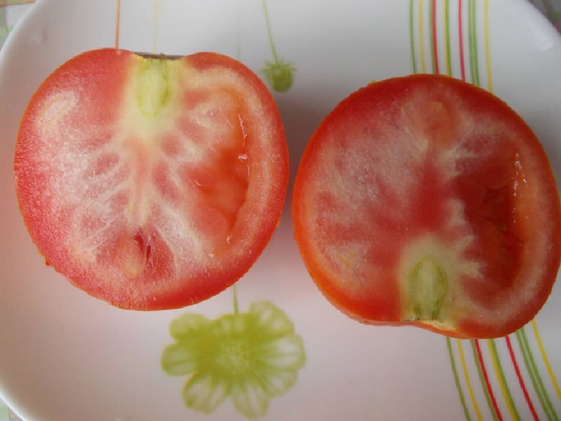 a55d704ad23d189fc5a5a02ca3fb12e9 Підживлення томатів у теплиці. Коли і які добрива використовувати для помідор