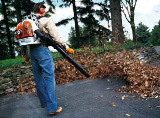  Як проходить прибирання опалого листя на прибудинкових територіях