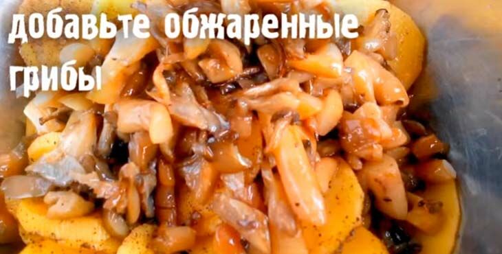 kartoshka s gribami v dukhovke   9 fotoreceptov158 Картопля з грибами в духовці — 9 фоторецептов