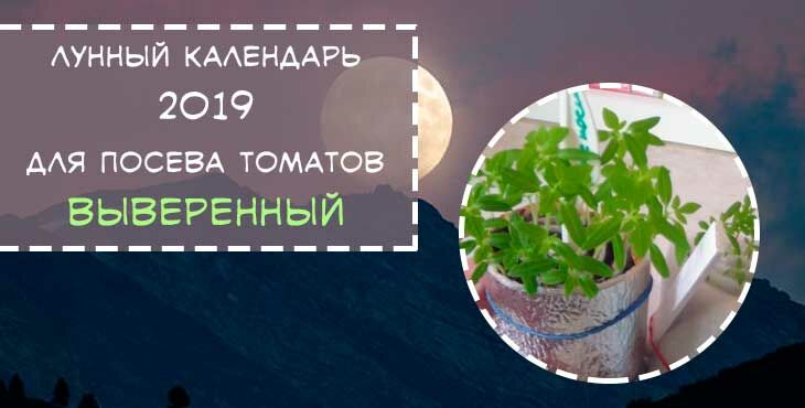 kogda seyat pomidory na rassadu v 2019 godu283 Коли сіяти помідори на розсаду в 2022 році