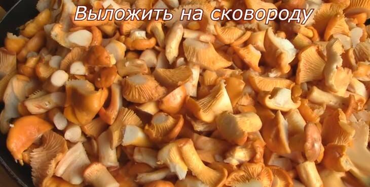 lisichki zharenye s lukom: 6 receptov prigotovleniya lisichek33 Лисички смажені з цибулею: 6 рецептів приготування лисичок