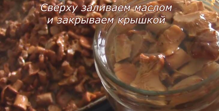 lisichki zharenye s lukom: 6 receptov prigotovleniya lisichek37 Лисички смажені з цибулею: 6 рецептів приготування лисичок