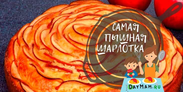 pyshnaya sharlotka s yablokami   10 receptov v dukhovke103 Пишна шарлотка з яблуками — 10 рецептів в духовці