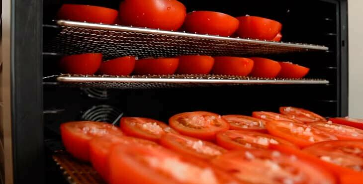 vyalenye pomidory v domashnikh usloviyakh na zimu502 Вялені помідори в домашніх умовах на зиму