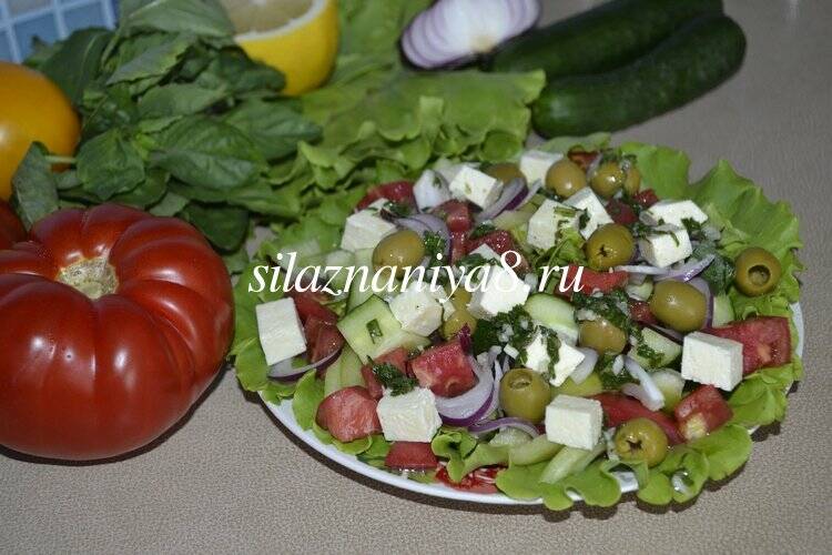 0b5a1ca3af2dee6c3be2ddb33df247a5 Грецький салат з бринзою: класичний рецепт