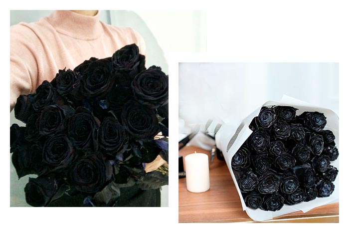 11ec69437362771889dbd89c50ae8155 Що означає чорна троянда, до чого дарують дівчині