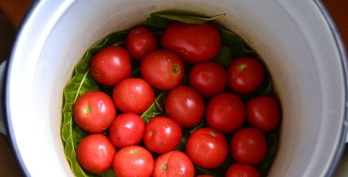 1a60af3b793d027de954a38ae6606ed1 Солоні помідори в домашніх умовах (рецепти швидкого приготування)
