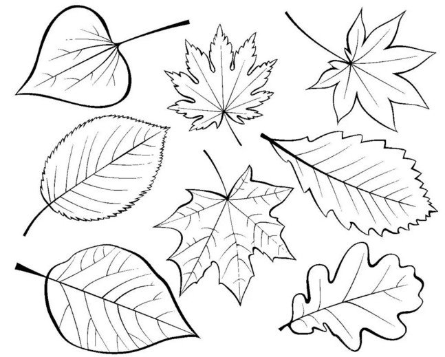 31bd48a3c3a2026dbe79df1c2c8aaccc Осіннє листя з паперу + шаблони і трафарети для вирізання