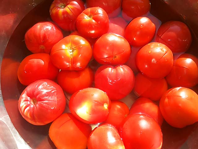 47ade42b1e0bf20f87238dcdadcc3870 Огірки в томаті на зиму — 6 визначних рецептів