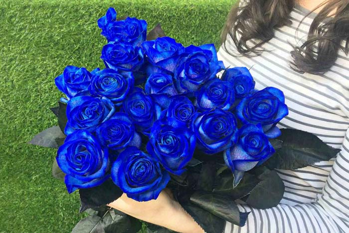 4fda5b55211825fce8547d57e4c96930 Значення синіх троянд: до чого їх дарують дівчині