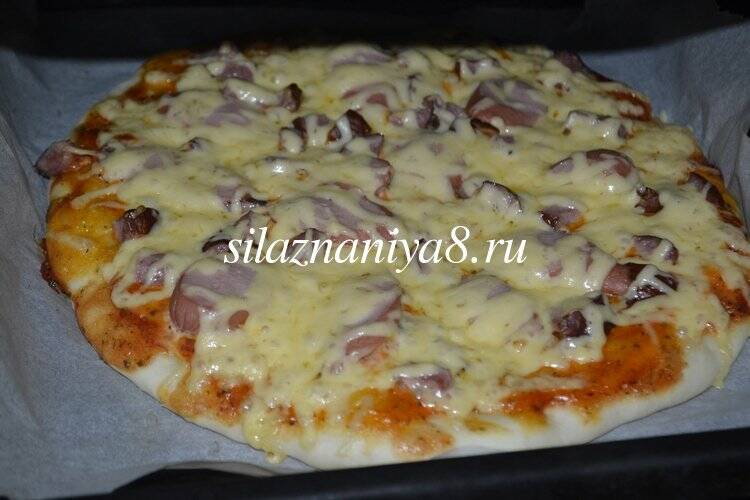 53b482ad50b38d5862a2c3f0212d863b Піца з ковбасою і сиром в духовці: 5 простих рецептів приготування в домашніх умовах