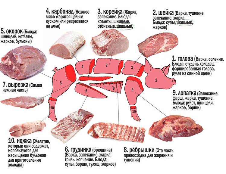 6deb61d0e1baaba5634b398d0bdabfcf Шашлик зі свинини з оцтом і цибулею + рецепти смачного маринаду, щоб мясо було мяким і соковитим
