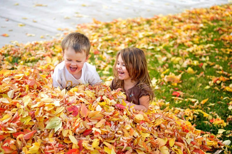 89ab548dc2cc0e3252cc84691ef62272 Вірші про осінь: короткі і гарні вірші про осінь для дошкільнят