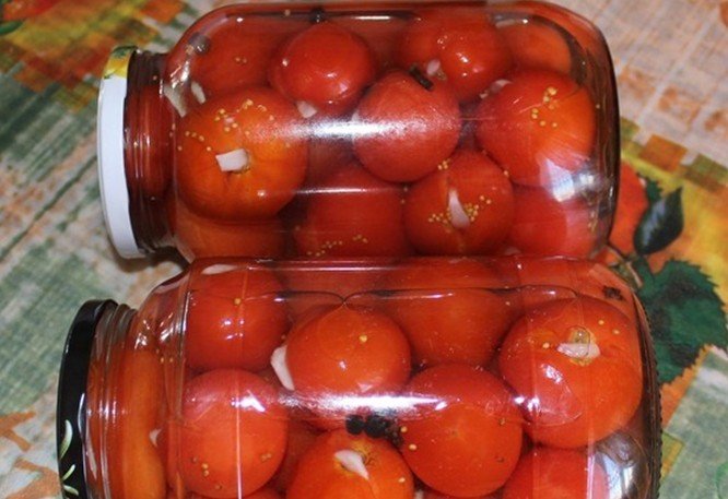 997f2655dcdf4bb9f46739c7d8413bcb Солоні помідори в домашніх умовах (рецепти швидкого приготування)