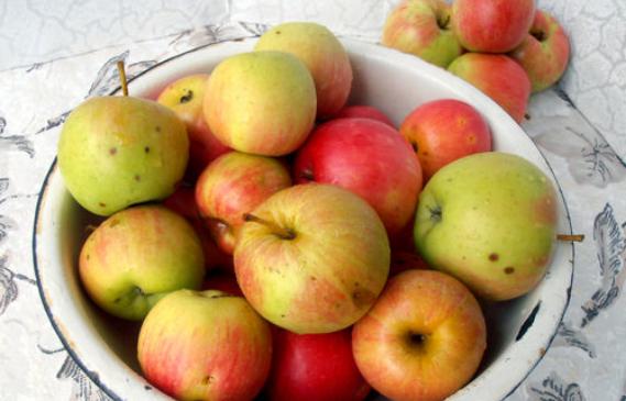 c2d31ae5cf0e999d4444739e87cbca8b Пастила з яблук в домашніх умовах — 7 простих рецептів