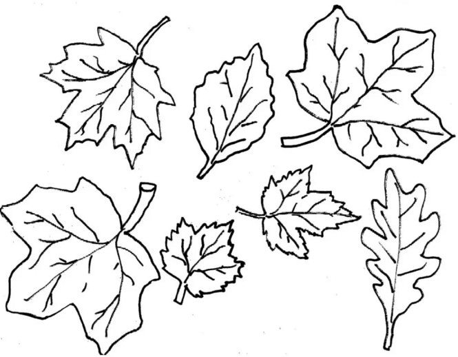 c60f07b5e7321c45a65edf450a30dc46 Осіннє листя з паперу + шаблони і трафарети для вирізання