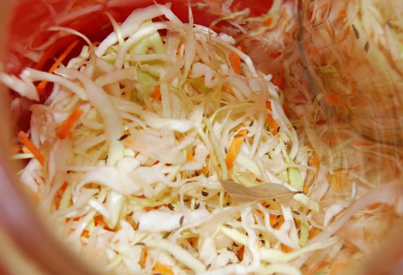  Квашена капуста швидкого приготування — 8 рецептів смачної квашеної капусти