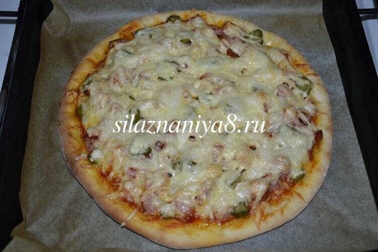 d105793f5d9d929af3104b24b70fd44b Піца з солоними огірками: 3 рецепта в домашніх умовах в духовці