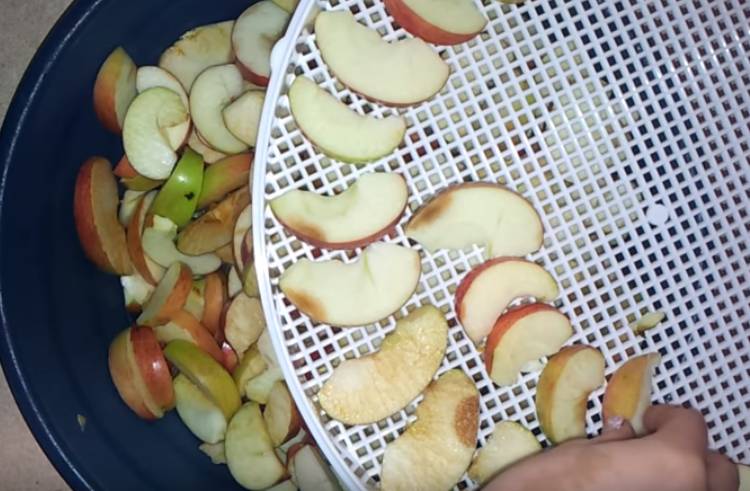 da5bb25db1c5a0227e6d15a8dae07ef8 Як сушити яблука в домашніх умовах: 7 способів