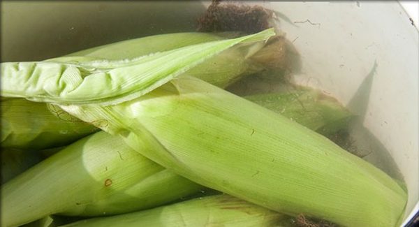 kukuruza na mangale: poshagovye recepty s foto i video19 Кукурудза на мангалі: покрокові рецепти з фото і відео