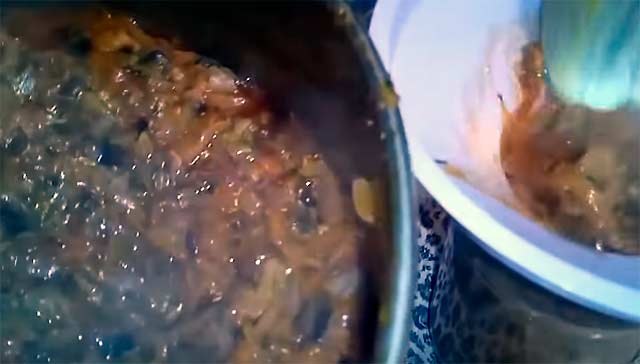 maslyata s kapustojj na zimu – 2 recepta prigotovleniya14 Маслюки з капустою на зиму – 2 рецепту приготування