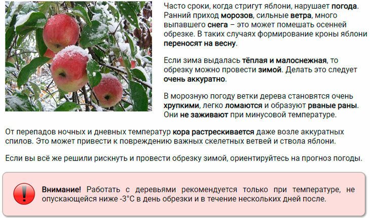 obrezka yabloni osenyu dlya nachinayushhikh   formirovanie krony106 Обрізка яблуні восени для початківців + формування крони