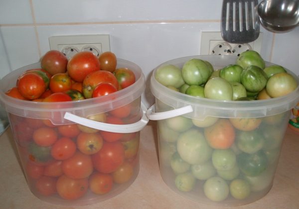 zeljonye pomidory na zimu: recepty na lyubojj vkus42 Зелені помідори на зиму: рецепти на будь який смак
