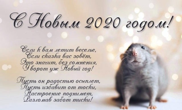 novogodnie otkrytki 2020 god krysy s pozhelaniyami27 Новорічні листівки 2020 рік Щура з побажаннями